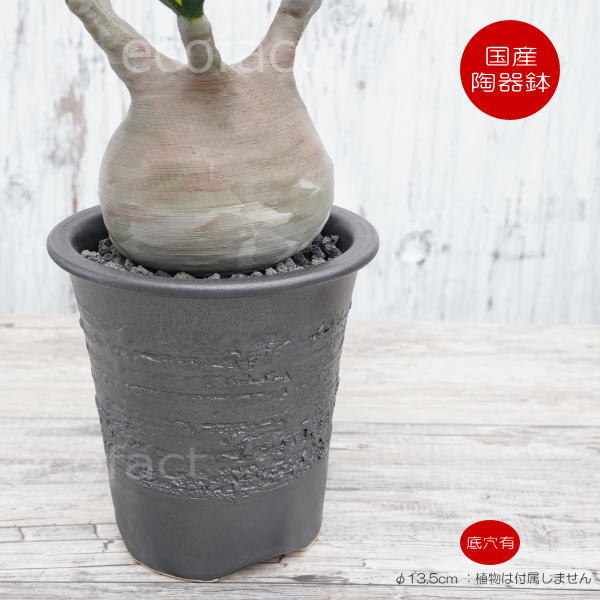 楽天市場】陶器鉢 植木鉢 縦長鉢 メタル（焼鉄色 ）φ16cm おしゃれ