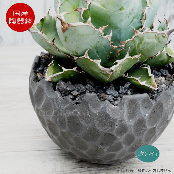 超新作 陶器鉢 植木鉢 ミニポット 底穴あり Bunga Pot カービング ブラック 大 艶消し 黒 F14 5cm おしゃれ かわいい プランター 宝寿窯 有田焼 陶芸鉢 観葉植物 アガベ サボテン ビザールプランツ 塊根植物 コーデックス 多肉植物