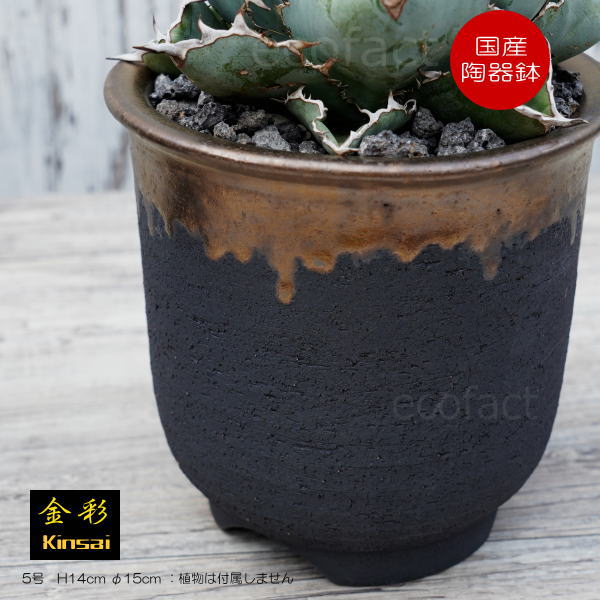 B6黒色 陶器製 植木鉢 アガベ 塊根植物 鉢