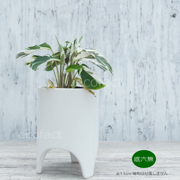 ホワイト フラワーポット型陶器 718ck17dlVL._UF350,350_QL50_.jpg