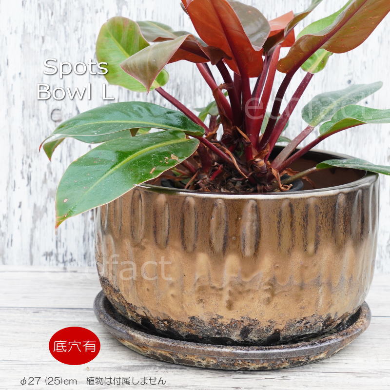 植木鉢 おしゃれ 陶器鉢 丸型 9号 室内 受け皿付き 底穴あり スポッツボウルミックスL φ27cm 北欧 ヨーロッパ モダン プランター 熱帯植物 アロカシア フィロデンドロン アガベ
