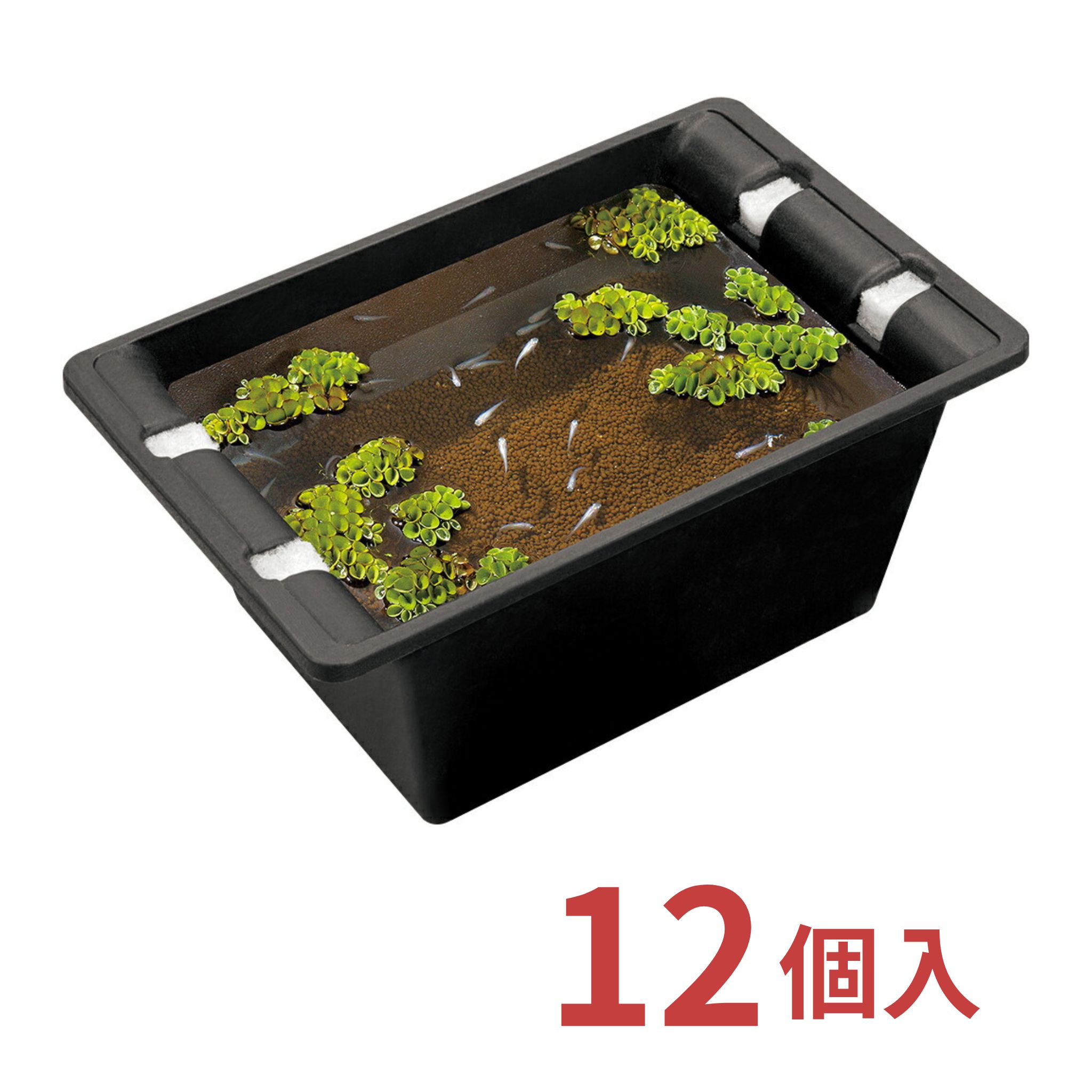 【訳あり・処分品・特価】 12個セット めだか 屋外 飼育 水槽 容器 ビオトープ スドー 華めく鉢 中 わすみ S-6722