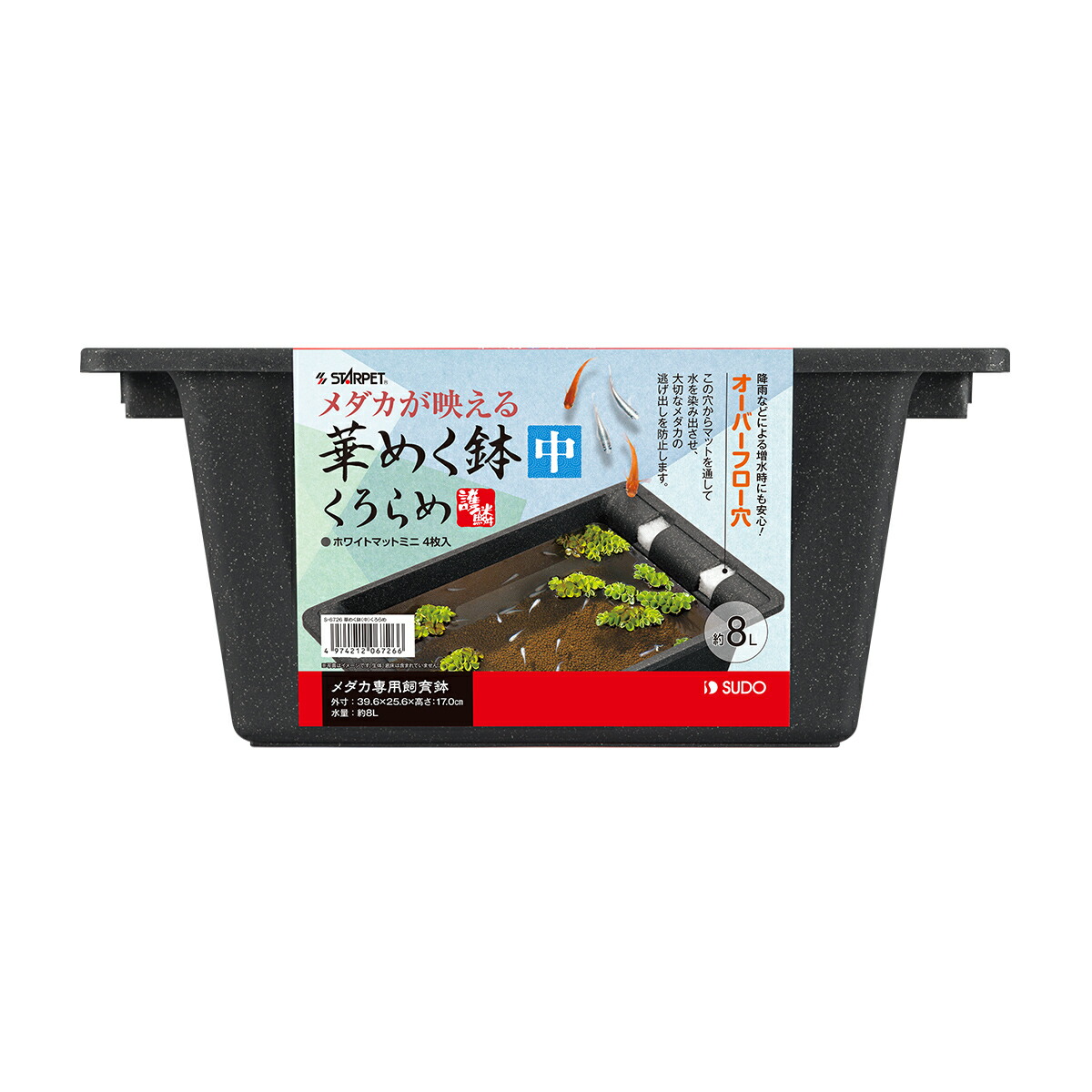 百貨店SALE