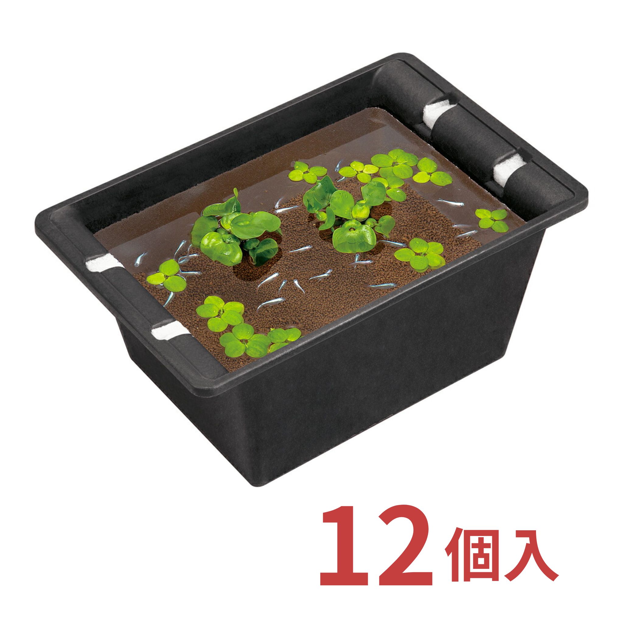 百貨店SALE