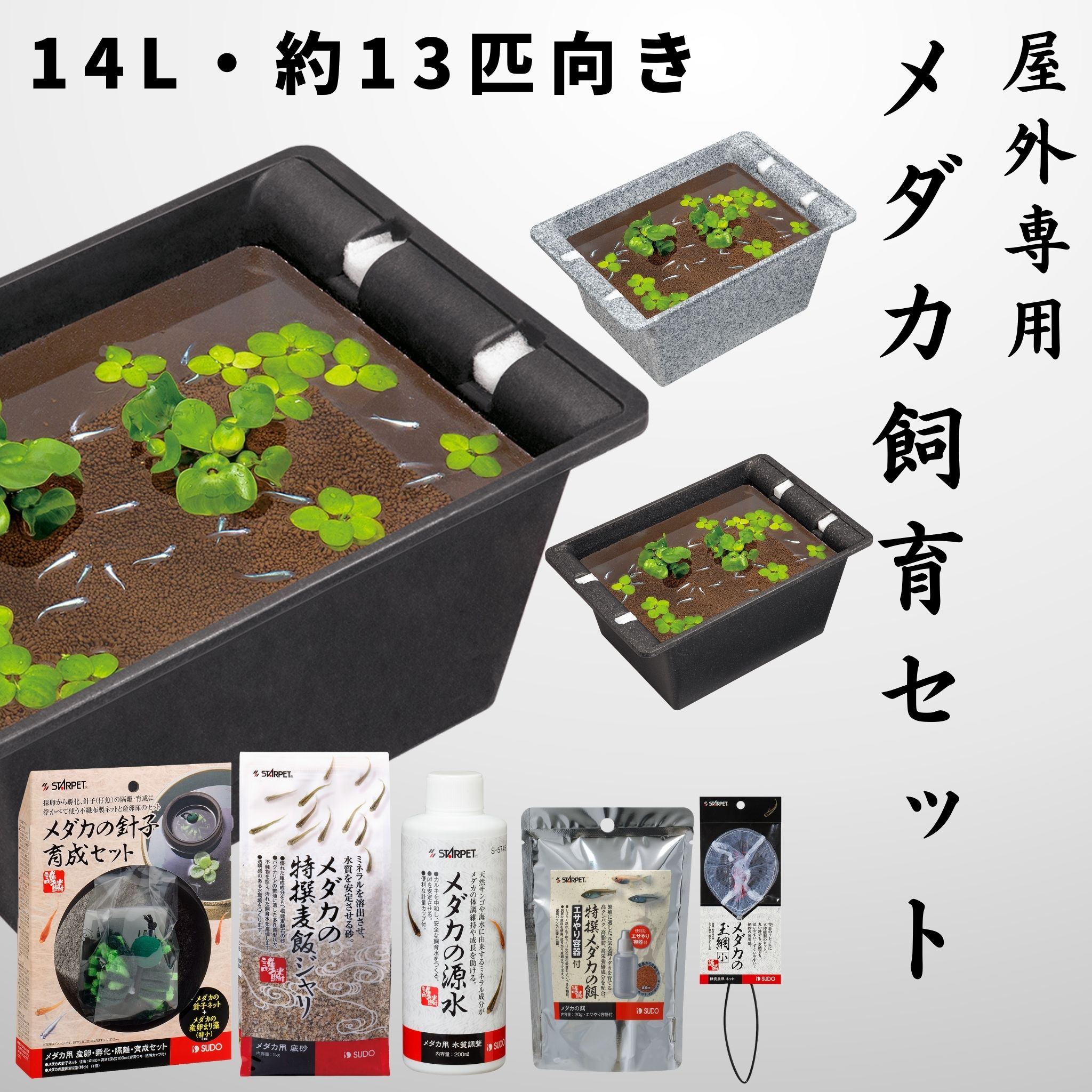 楽天市場】【17L・約16匹サイズ】 スドー メダカ 飼育セット