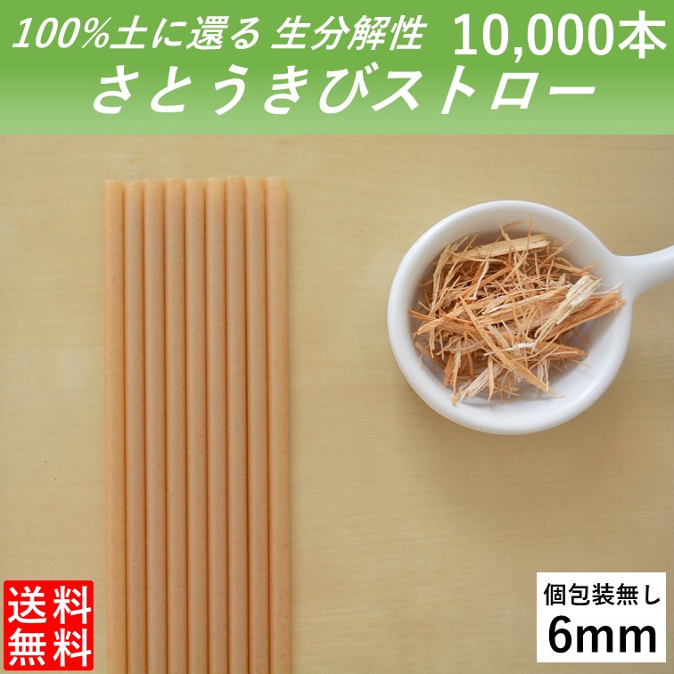 生分解性 さとうきびストロー 管径6mm 10,000本 カクテル 個別包装無し カフェ 使い切り