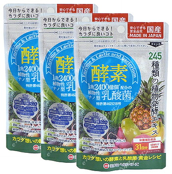 酵素プラス植物性ナノ型乳酸菌