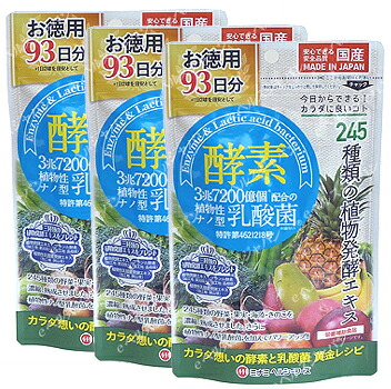 酵素プラス植物性ナノ型乳酸菌　お徳用９３日分(3袋ｾｯﾄ) ミナミヘルシーフーズ サプリメント 健康維持 サプリ 生活習慣 ギフト プレゼント 包装ラッピング可（有料）