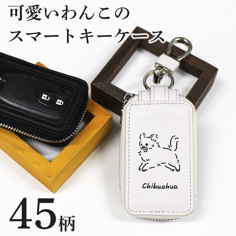 smartkeycase-02-0b.jpg