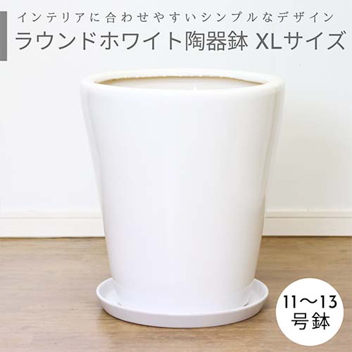 L, Mサイズ 2セット植木鉢 陶器 file.jpg