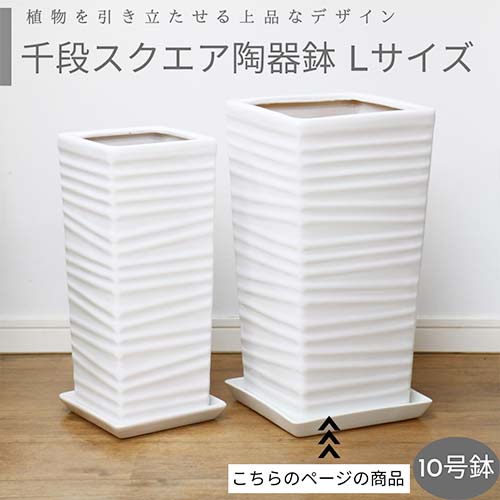 楽天市場】＼ポイント5倍／ラウンド陶器鉢 Lサイズ【受け皿付き 鉢底