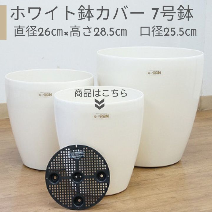 楽天市場】プラスチック 鉢カバー 8号用 オフホワイト ラスター