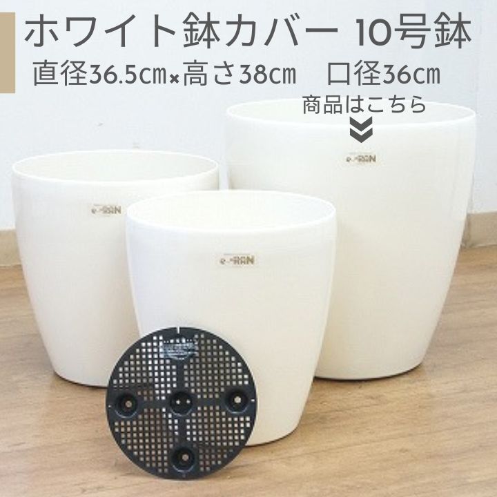 楽天市場】プラスチック 鉢カバー 8号用 オフホワイト ラスター