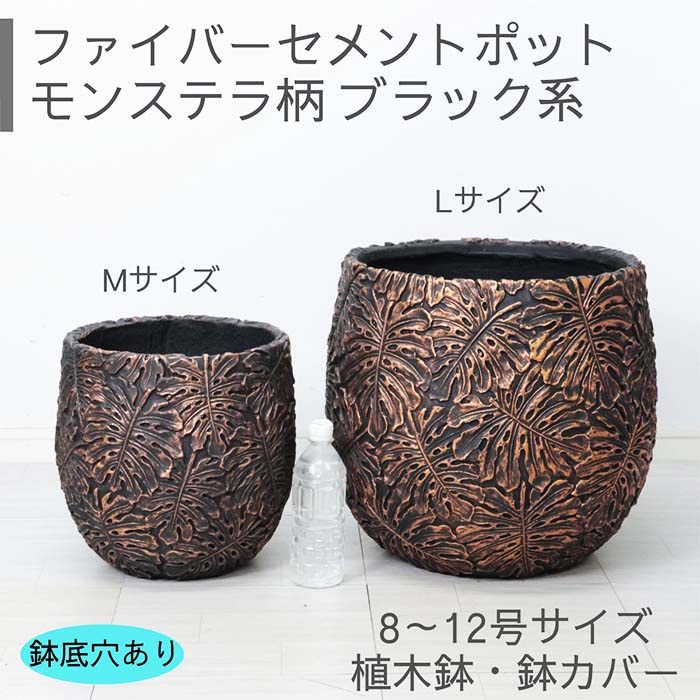 観葉草木の虫打つ手