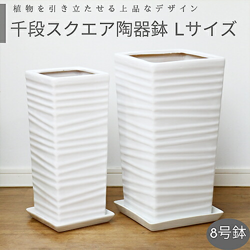 楽天市場 陶器鉢 白 オシャレな千段スクエアホワイト陶器鉢lサイズ 送料無料 受け皿付き 中形 大型プランツ用 シンプル おしゃれな植木鉢 観葉植物用 同梱不可 観葉植物の専門店e Ran 楽天市場 陶器鉢 白 オシャレな千段スクエアホワイト陶器鉢lサイズ 送料無料 受け皿付き 中形 大型プランツ用 シンプル おしゃれな植木鉢 観葉植物用 同梱不可 観葉植物の専門店e Ran