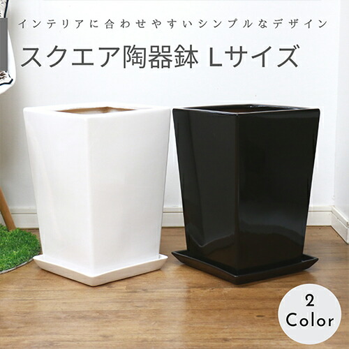 高さは、30cm陶器 受け皿 植木鉢 おしゃれ アートストーン ラウンドソーサー2L