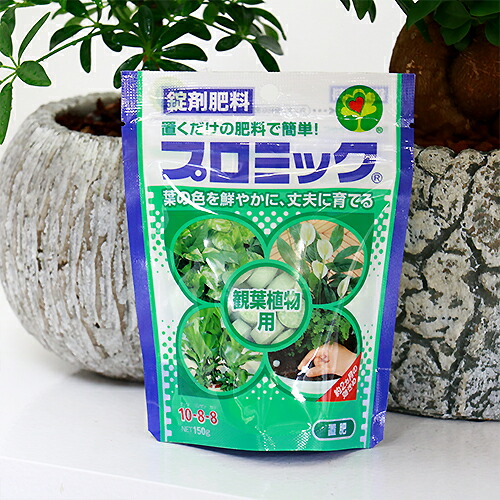 楽天市場 プロミック 観葉植物用 錠剤肥料 Hyponex 園芸用品 便利 園芸グッズ ハイポネックス ジャパン 観葉植物の専門店e Ran