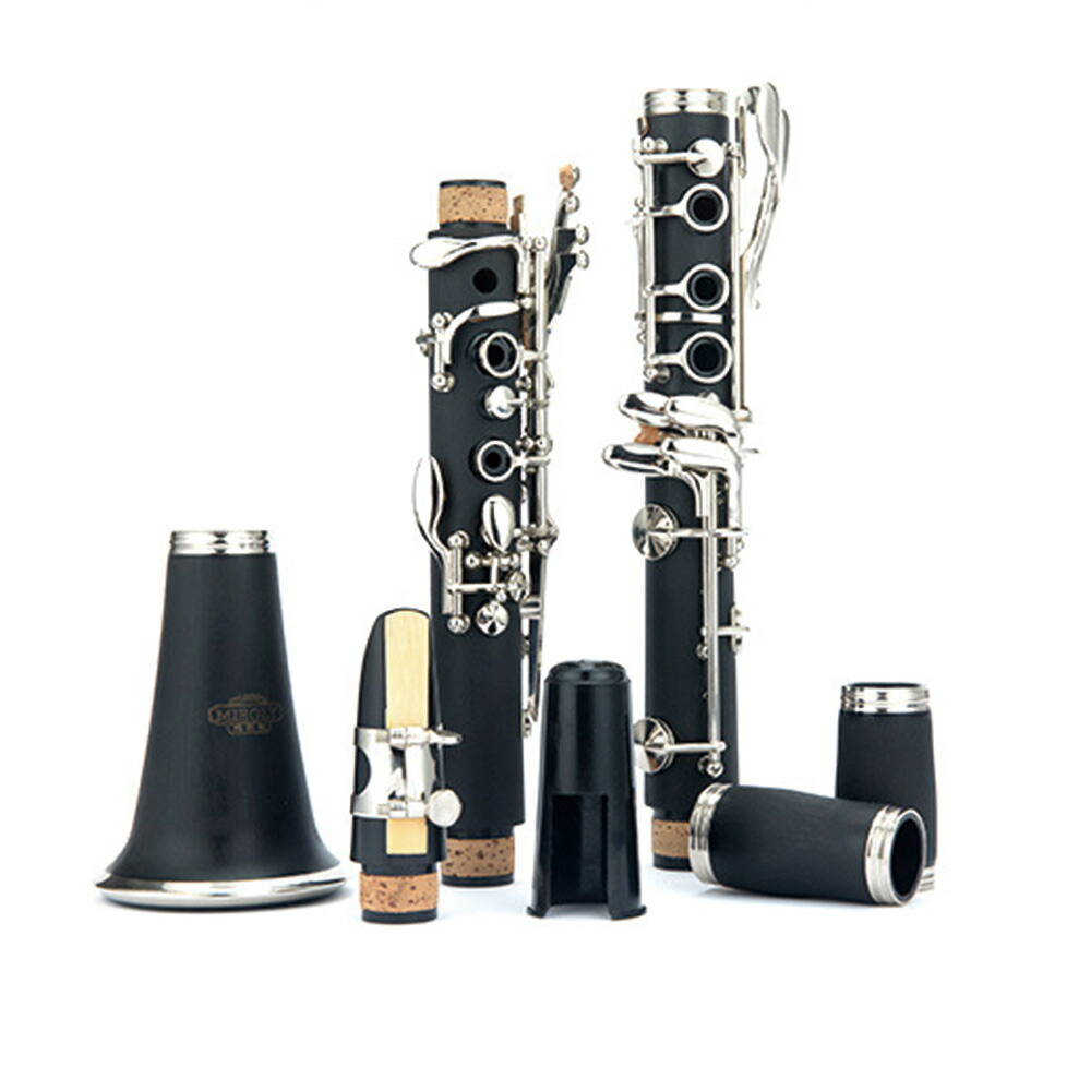 期間限定特価 クラリネット 予備 10リード付 練習セット ラッピング 本体 17キー B 初心者入門セット 吹奏楽 練習用 ケース付き ラッピング対応可 絶対一番安い Steeline Pk