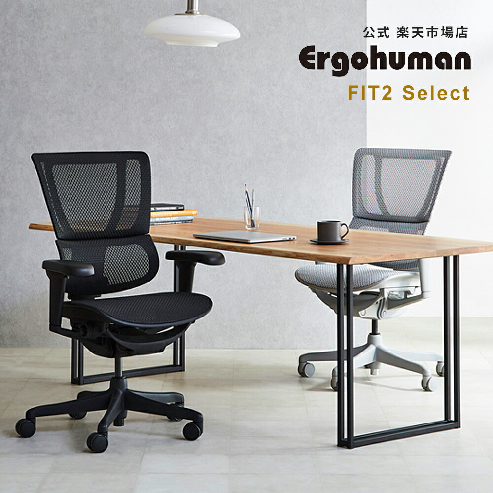 楽天市場】【Ergohuman 公式店】お客様組立【送料無料】高機能