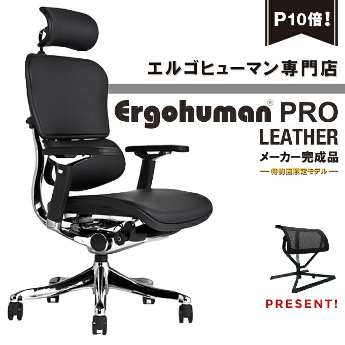 楽天市場】エルゴヒューマン 専用PUキャスター（Ergohumanベーシック・エンジョイ・フィットの交換用パーツ）5個セット(1脚分)【新タイプ キャスター】【沖縄県・離島以外送料無料】 : Ergohuman Professional Dealer