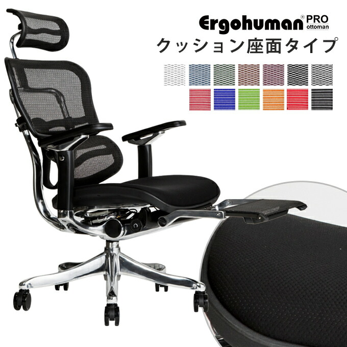 楽天市場】エルゴヒューマン 専用PUキャスター（Ergohumanベーシック・エンジョイ・フィットの交換用パーツ）5個セット(1脚分)【新タイプ キャスター】【沖縄県・離島以外送料無料】 : Ergohuman Professional Dealer