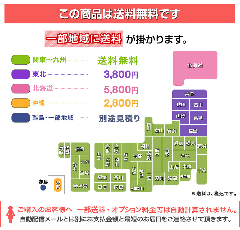 送料無料耐震宮付照明付2段ベッドポップPOP3色対応ホワイトナチュラルライトブラウンハートスターツリー二段ベッド二段ベット2段ベッド2段ベットボンネルコイルベッドコンパクトすのこベッド北欧カントリー子供部屋大人用子供用