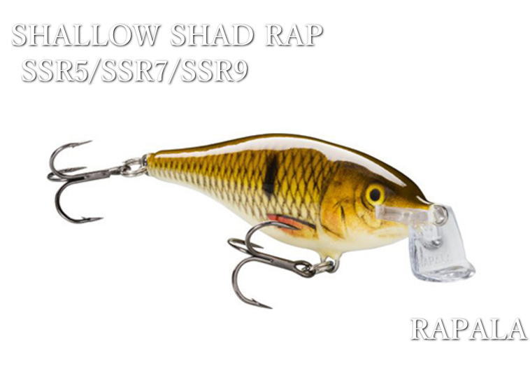 Rapala ラパラ 14個セット 楽天市場】エックスラップ [ロング キャスト シャロー] SXRLS14 ～全4