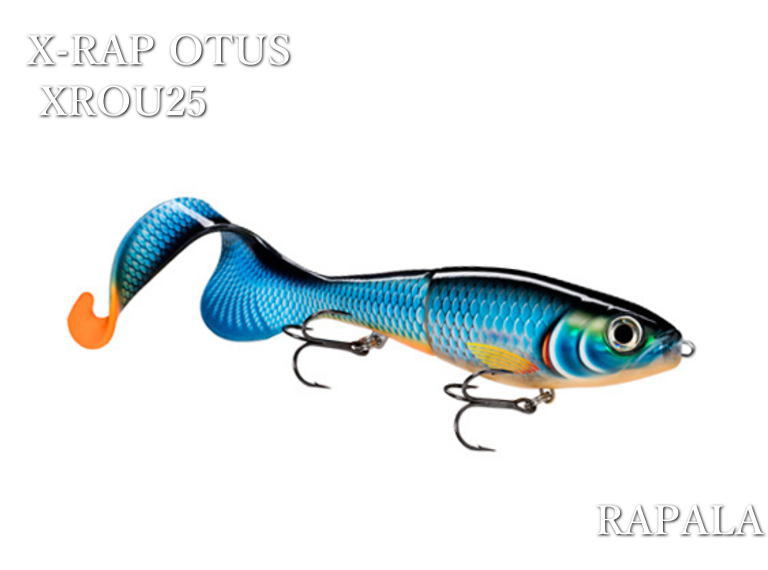 Rapala ラパラ 14個セット 楽天市場】エックスラップ [ロング キャスト シャロー] SXRLS14