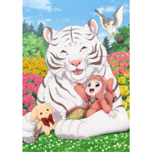 楽天市場】世界でいちばん強くなりたい! 全12話+OVA全6話BOXセット 新