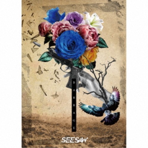 SEESAW/BARRAGE《豪華盤/Type-A》 【CD+DVD】