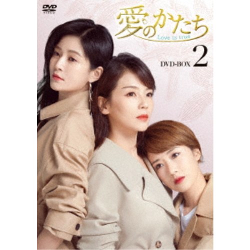 愛のかたち～Love is true～ DVD-BOX2 【DVD】