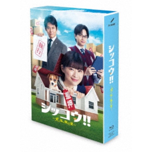 シッコウ！！～犬と私と執行官～ Blu-ray BOX 【Blu-ray】