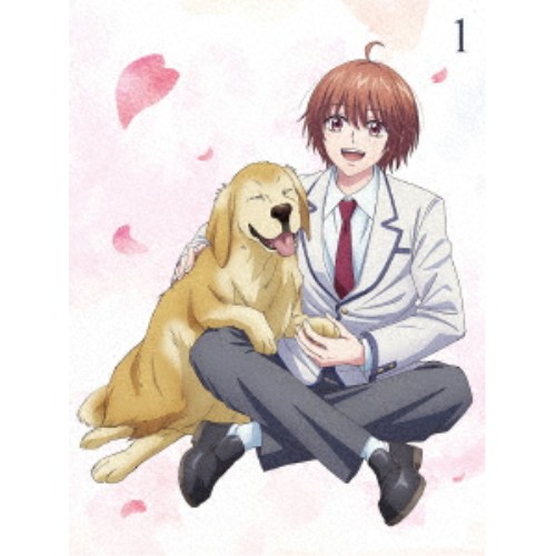 花ざかりの君たちへ DVD BOX Vol.1《完全生産限定版》 (初回限定) 【DVD】