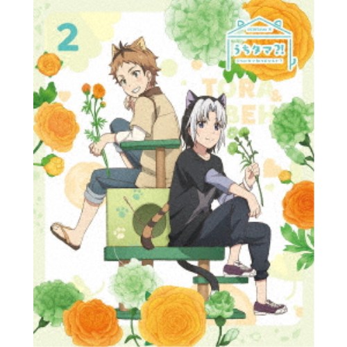うちタマ？！ ～うちのタマ知りませんか？～2《完全生産限定版》 (初回限定) 【DVD】