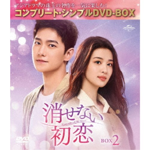 消せない初恋 BOX2 ＜コンプリート・シンプルDVD-BOX＞ (期間限定) 【DVD】