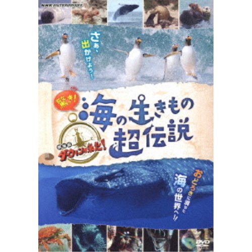 NHKスペシャル 謎の海底サメ王国 [DVD] NHKスペシャル謎の海底サメ王国 | NHKスペシャル深海