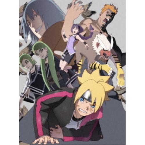 全国組立設置無料 Boruto ボルト Naruto Next Generations Dvd Box6 親子の日編 呪印感染編 湯煙忍法帖編 完全生産限定版 初回限定 Dvd 在庫限り Www Kioskogaleria Com