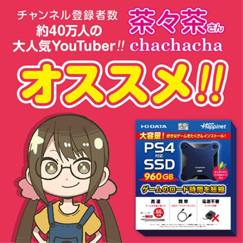 Ps4対応 外付けssd 960gb Cannes Encheres Com