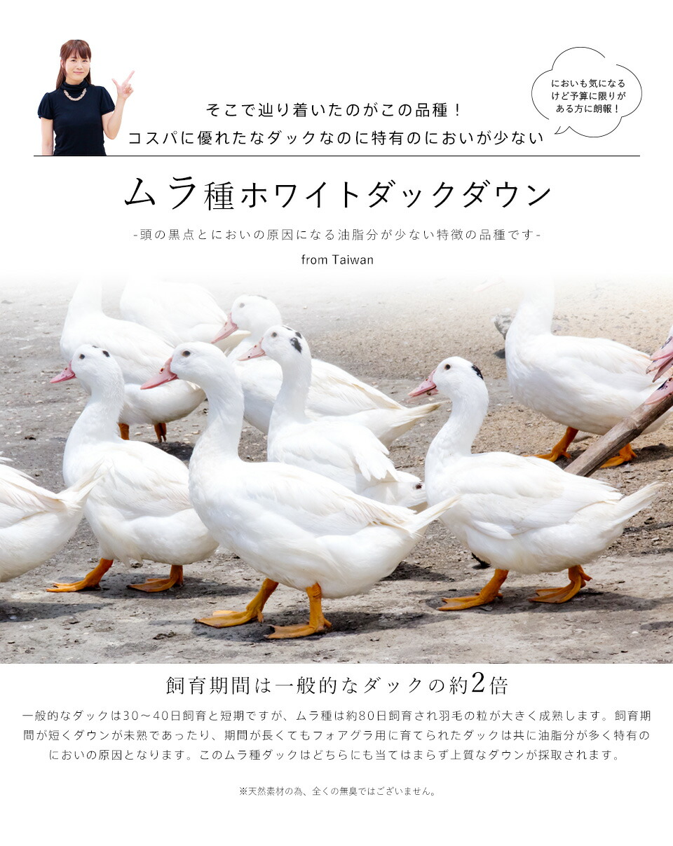 【200円OFFクーポン】羽毛布団シングル西川布団カバー付ホワイトダウン93%1.2kg入り400dp羽毛掛け布団羽毛ふとん昭和西川日本製立体キルト