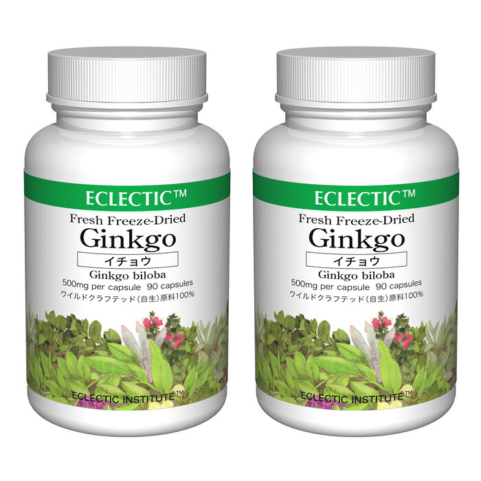 イチョウ ギンコ FFD 500mg 90カプセル 2個セット フレッシュアップグレード規格 ハーブサプリメント ECLECTIC エクレクティック｜eサプリ東京店