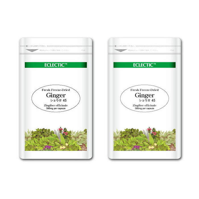 【15％P還元】 ショウガ ジンジャー FFD 395mg 45カプセル Ecoパック 2個セット フレッシュアップグレード規格 ハーブサプリメント ECLECTIC エクレクティック