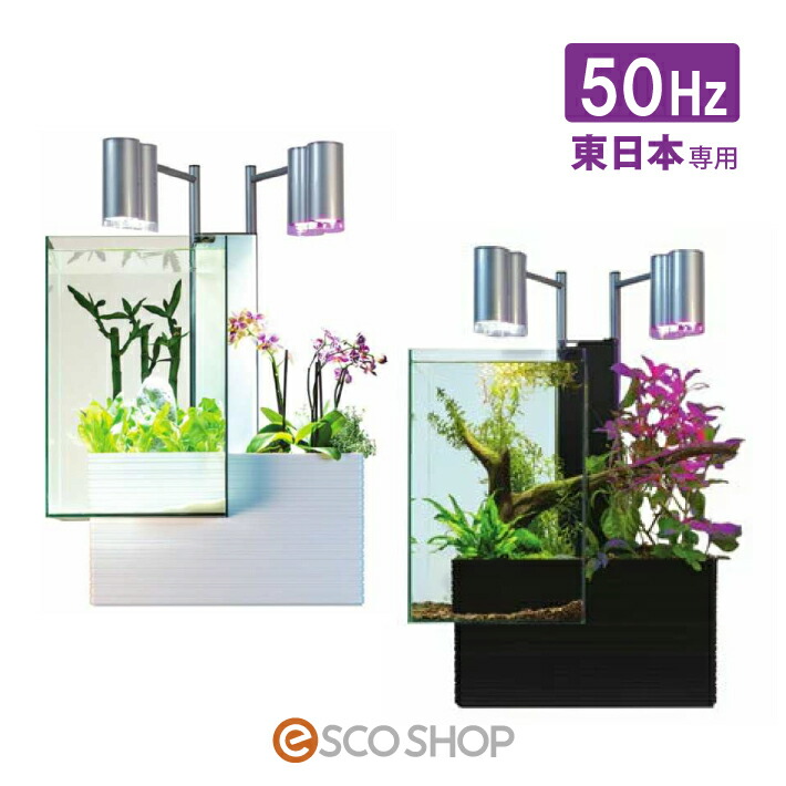 国産 のbrio35 Color Red 魚の飼育と植物の栽培を 一体した商品です Font Esco 水槽 ペット ペットグッズ 50hz 代引不可 東日本用 ベムパートナー 大型 送料無料 メーカー直送 代引不可 Shop Font 水槽 10 Off 楽天スーパーsale ブラック ホワイト