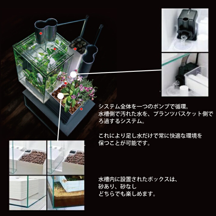 ベムパートナー Brio35 50hz 犬 東日本用 ブラック ホワイト アクアリウム 吸水シート 水槽 大型 メーカー直送 代引不可 送料無料 Esco Shop 炭酸水 魚の飼育と植物の栽培を 一体した商品です