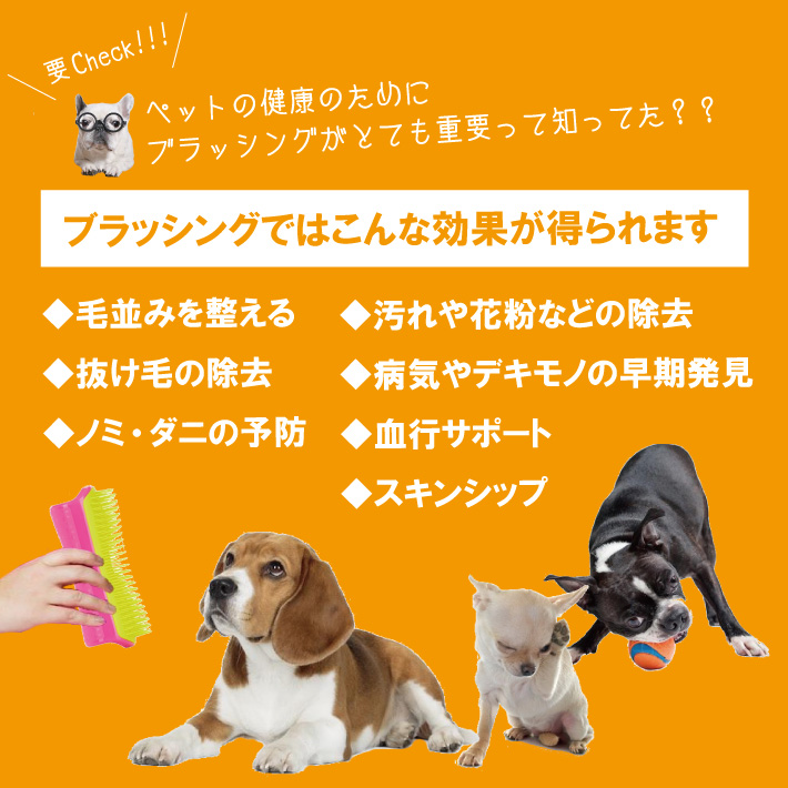 楽天市場 400円offクーポン 4 980円以上で あす楽 ペットティーザー Pet Teezer タングルティーザー ブラシ 犬 イヌ ハード ソフト ダブルコート シングルコート 抜け毛 送料無料 ペット用品専門店 Amour アムール