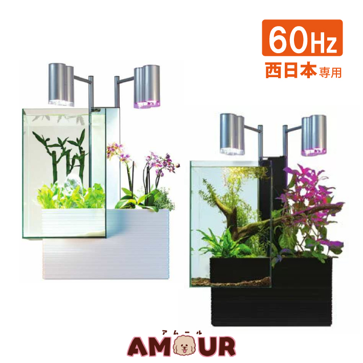 安価返品okの魚の飼育と植物の栽培を 一体した商品です 300円offクーポン 5 000円以上で ベムパートナーbrio35 60hz 西日本用ブラック ホワイトアクアリウム水槽大型