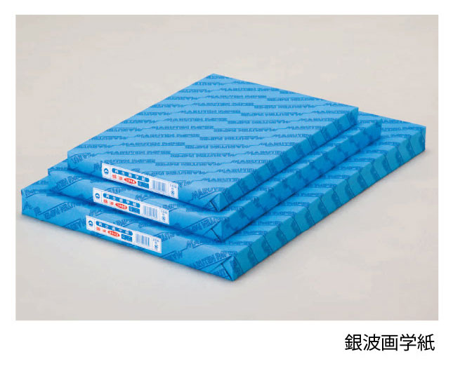 【直送品・代引き不可】【保育園・学校用紙及び器材】画用紙/厚手186.7g(銀波画学紙)4切・100枚｜eshopヤマックス
