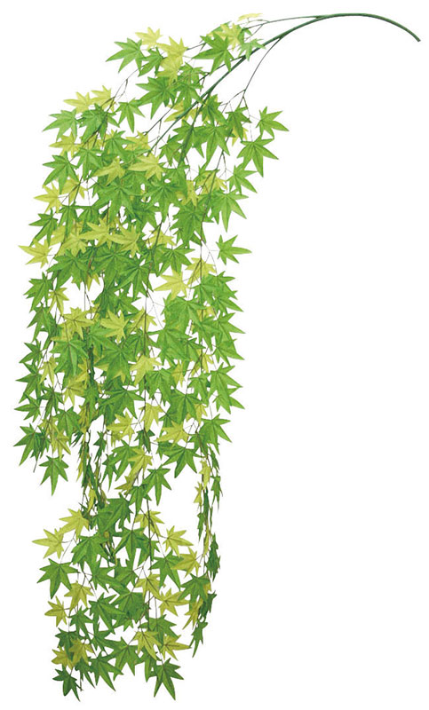 【店舗・イベント用品】【グリーン(観葉植物)】メイプルリーフ・バイン12本セット|eshopヤマックス