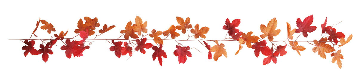 【店舗・イベント用品】【秋】【紅葉】カラフルメイプルガーランド・ブラウン12本セット｜eshopヤマックス