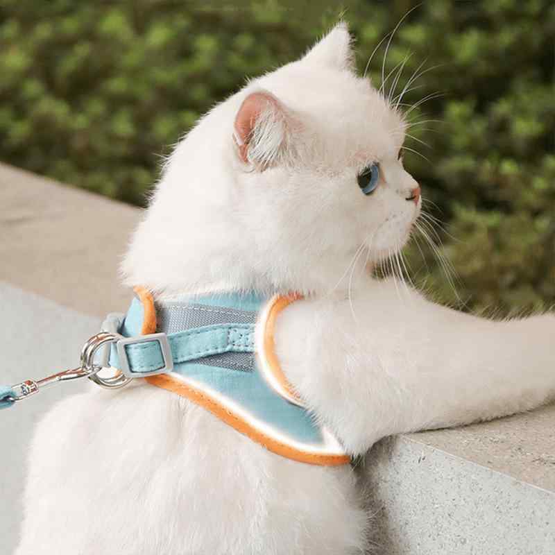 猫 ピンク 猫用 オレンジ リード ブルー 緑 メッシュ 小型犬 通気性 牽引ロープ ハーネス 散歩 セット お出かけ