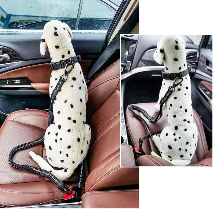 犬 ブラック ポリエステル 弾力 犬用リード パープル 反射 牽引ロープ グリーン カーキ 伸縮リード オレンジ 車載安全ベルト ペット用品 ブルー 牽引帯